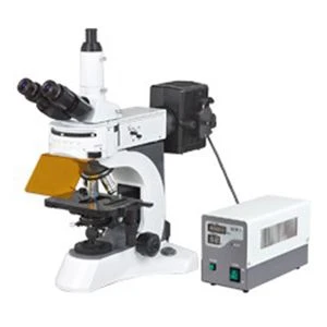 N-800F Labor biologisches Fluoreszenz-Mikroskop